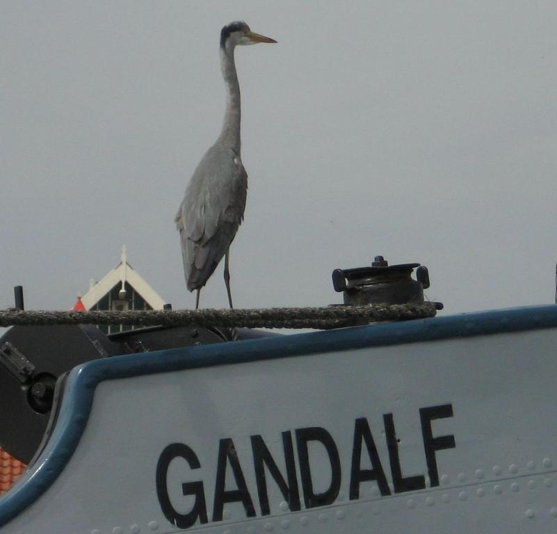 Hotelschip Gandalf Amsterdam Bagian luar foto
